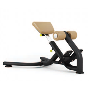 Pulse 665G Lower Back Extension Bench