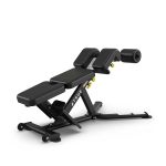 نیمکت شکم-فیله کمر | True FS-22 Low Back-Abdominal Bench