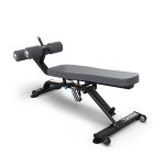 نیمکت شکم-پرس زیر سینه | True XFW-5300 Abdominal-Decline Bench